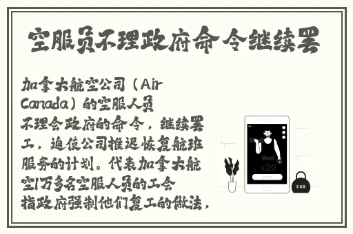 丰年经的继拇9m丰年经的介绍